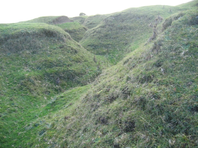 World War One Training Trenches, The Curragh, Co. Kildare